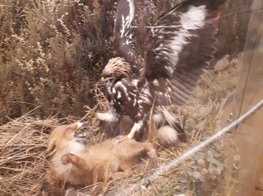 Museum of Nature景点图片