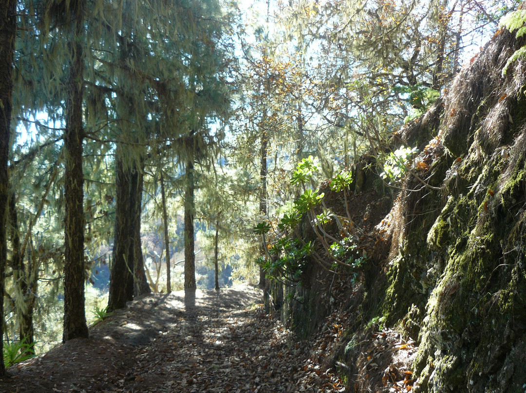 Barranco de la Virgen-Valleseco必去景点