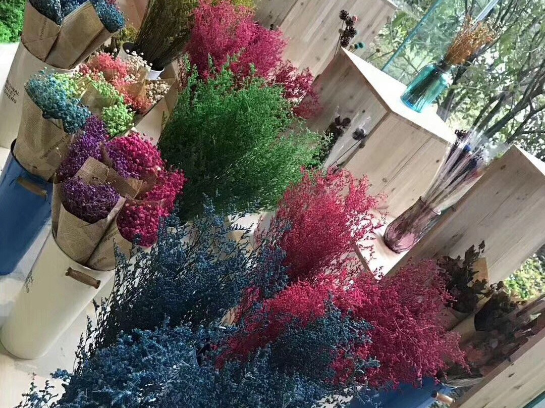 三江森林温泉杜马仕酒店主图