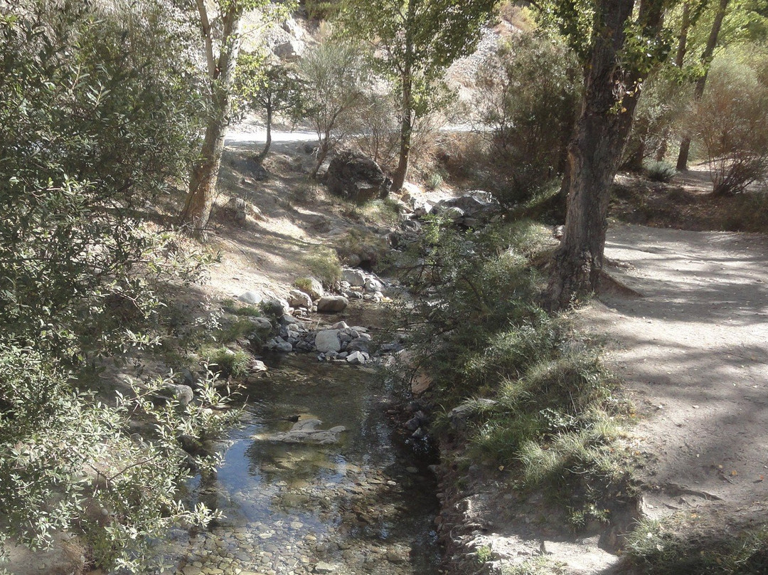 Area Recreativa Rio Dilar景点图片