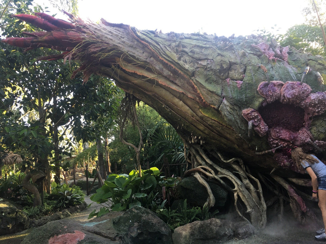 Pandora – The World of Avatar-奥兰多必去景点
