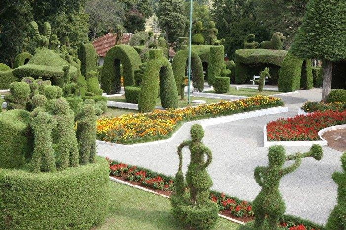 Praca Municipal Tancredo Neves景点图片