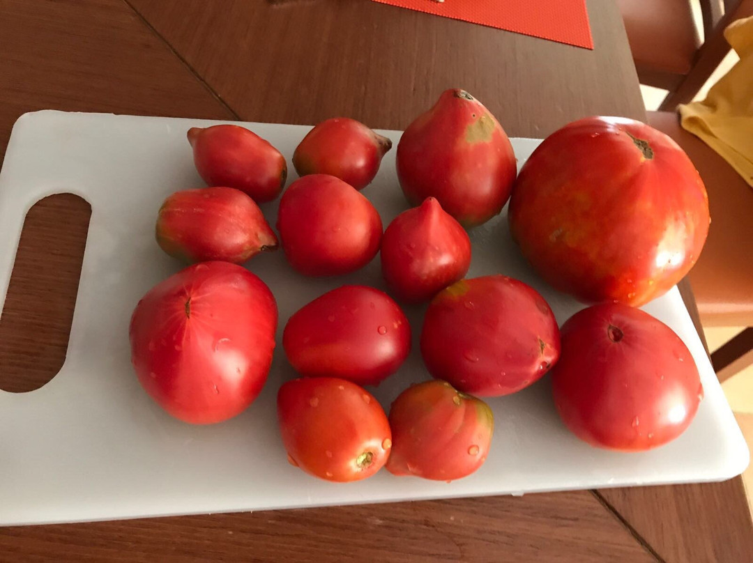 Durazzo Resort & Spa主图