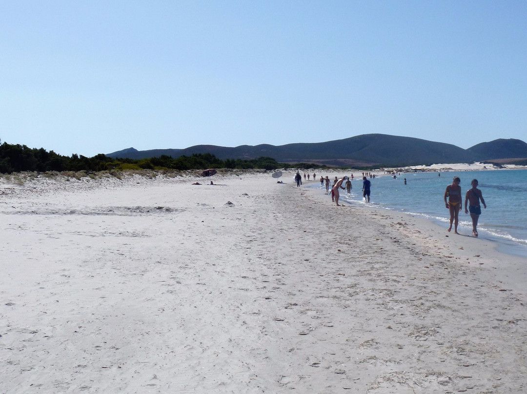 Spiaggia Animal Frendly Porto Pino景点图片