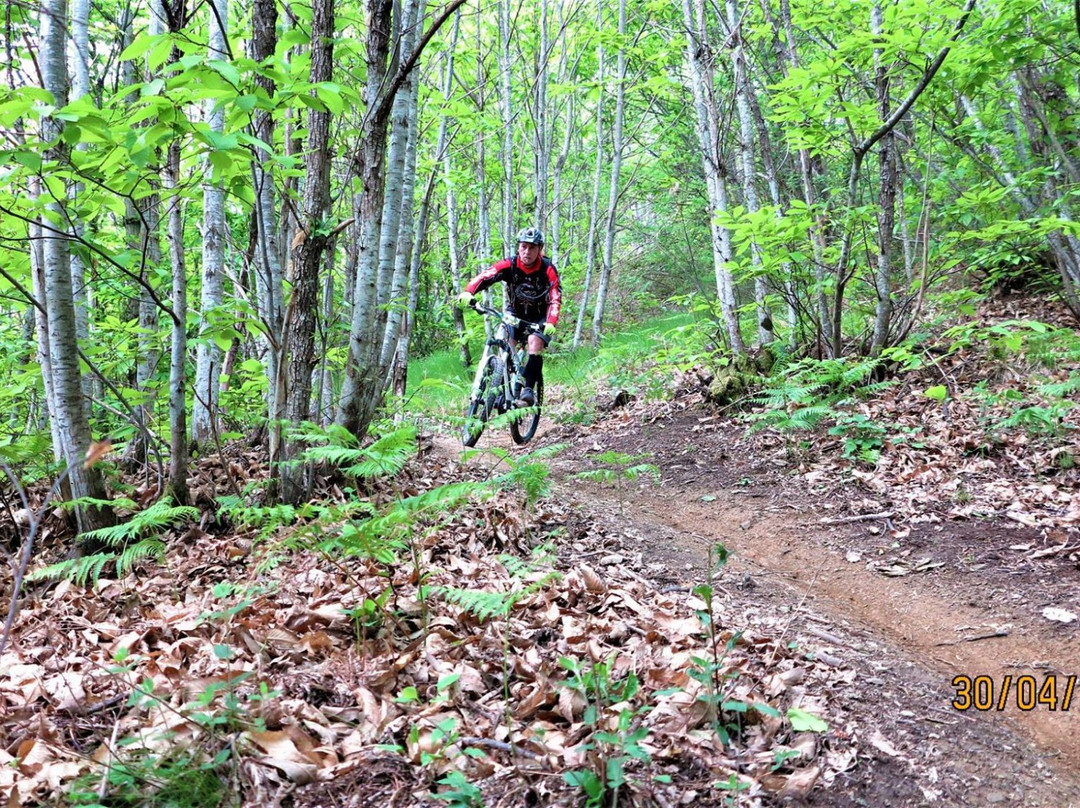 Tuscany MTB Guide-因普鲁内塔必去景点