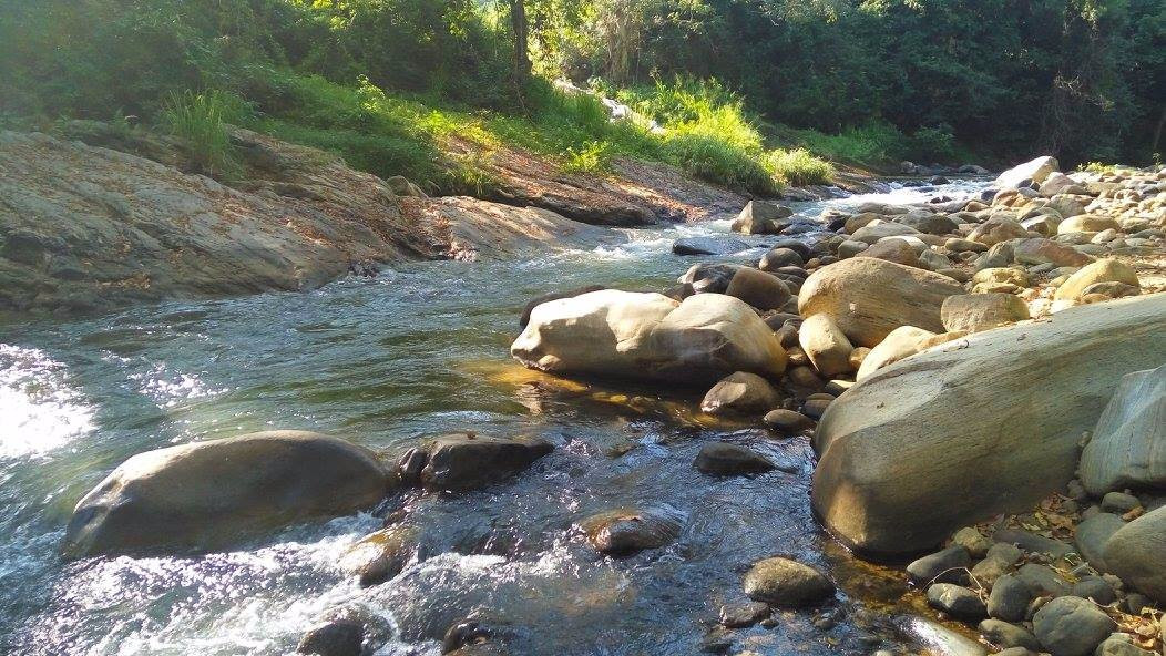 Walapane旅游攻略图片