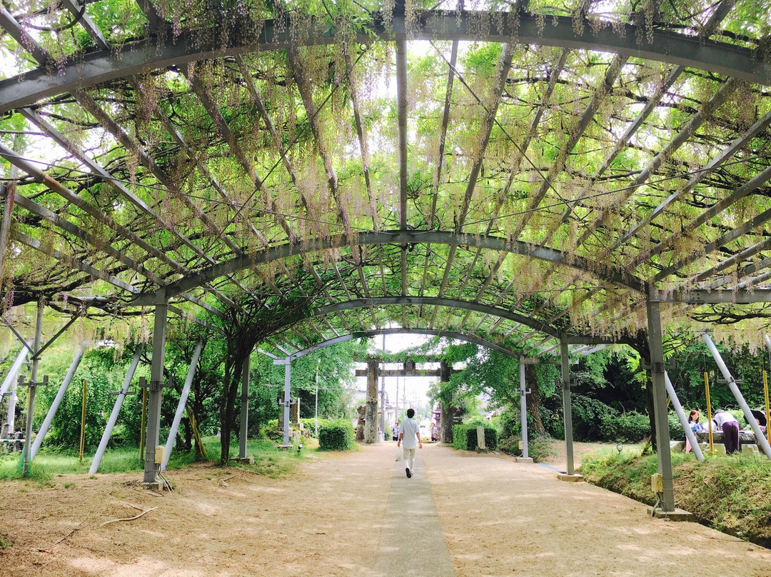 Yamada Hiyoshi Shrine-玉名市必去景点