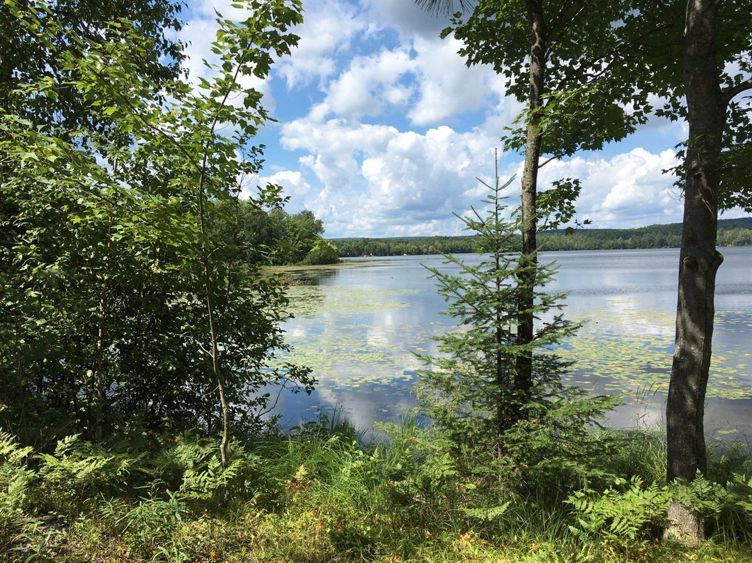 Townsend旅游攻略图片