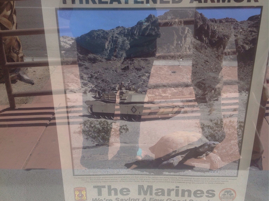 Twentynine Palms Chamber of Commerce-二十九棕榈村必去景点