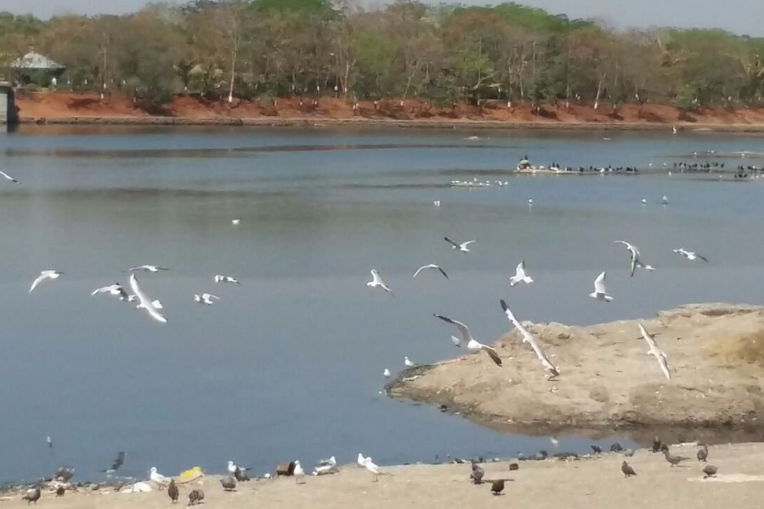 Mini Seashore景点图片