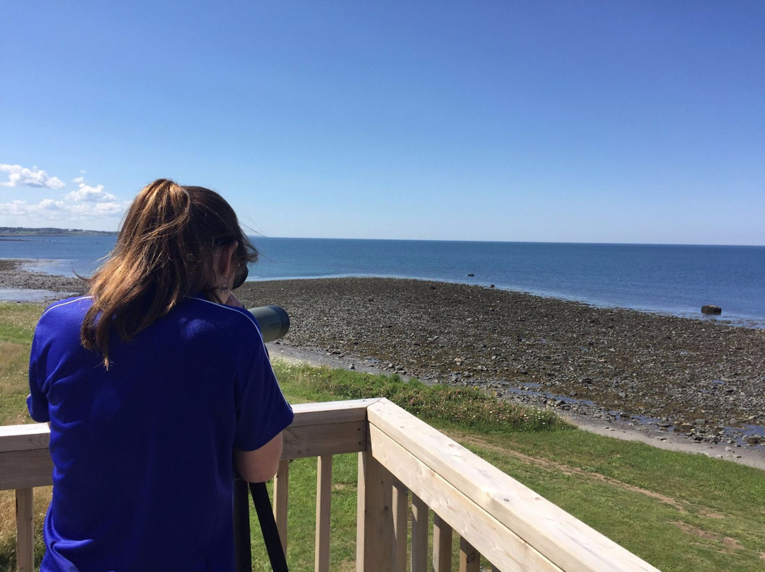 Church Point Lighthouse (Le Phare d'la Pointe)-Church Point必去景点