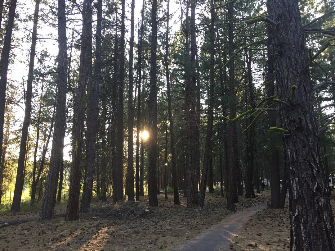 Collier Memorial State Park-Chiloquin必去景点