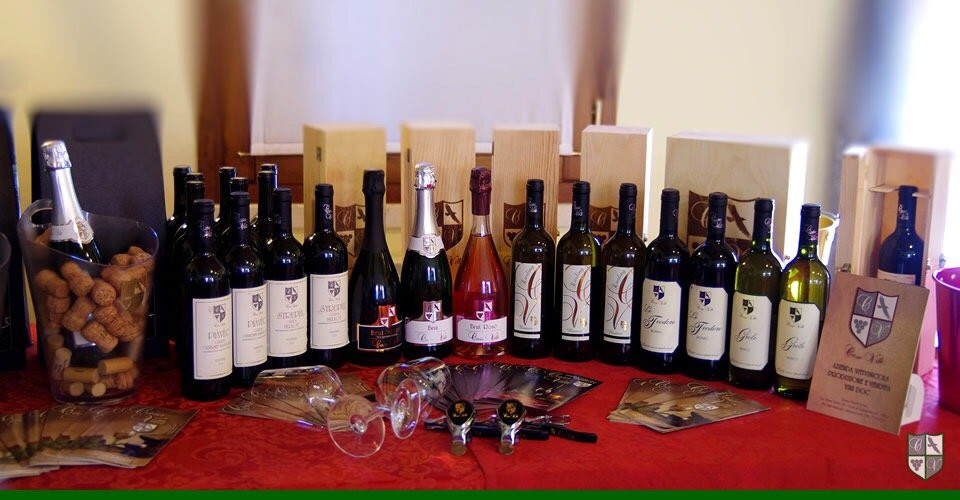 Agriturismo Casa Villi主图