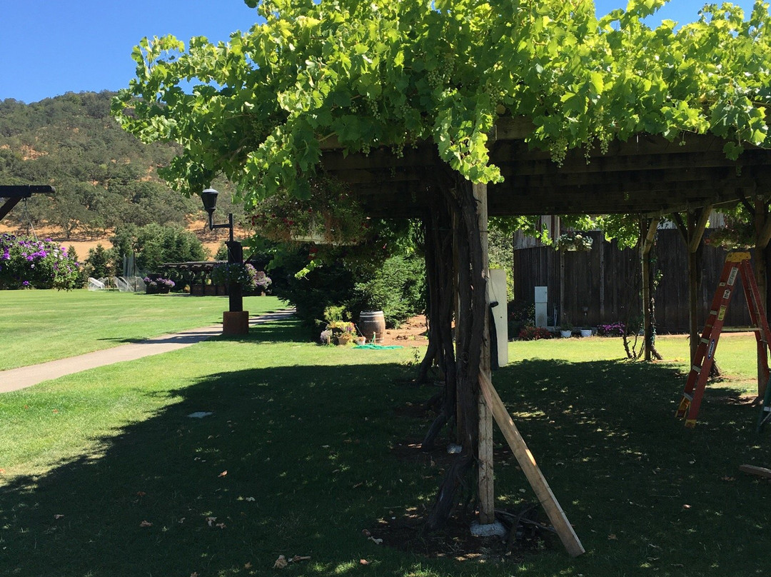 Kirigin Cellars Winery-吉尔罗伊必去景点