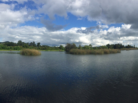 Parque Isabel Riquelme-Lautaro必去景点