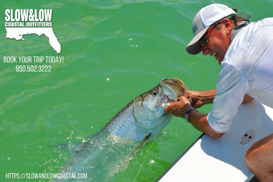 Slow and Low Coastal Outfitters-圣罗萨海滩必去景点