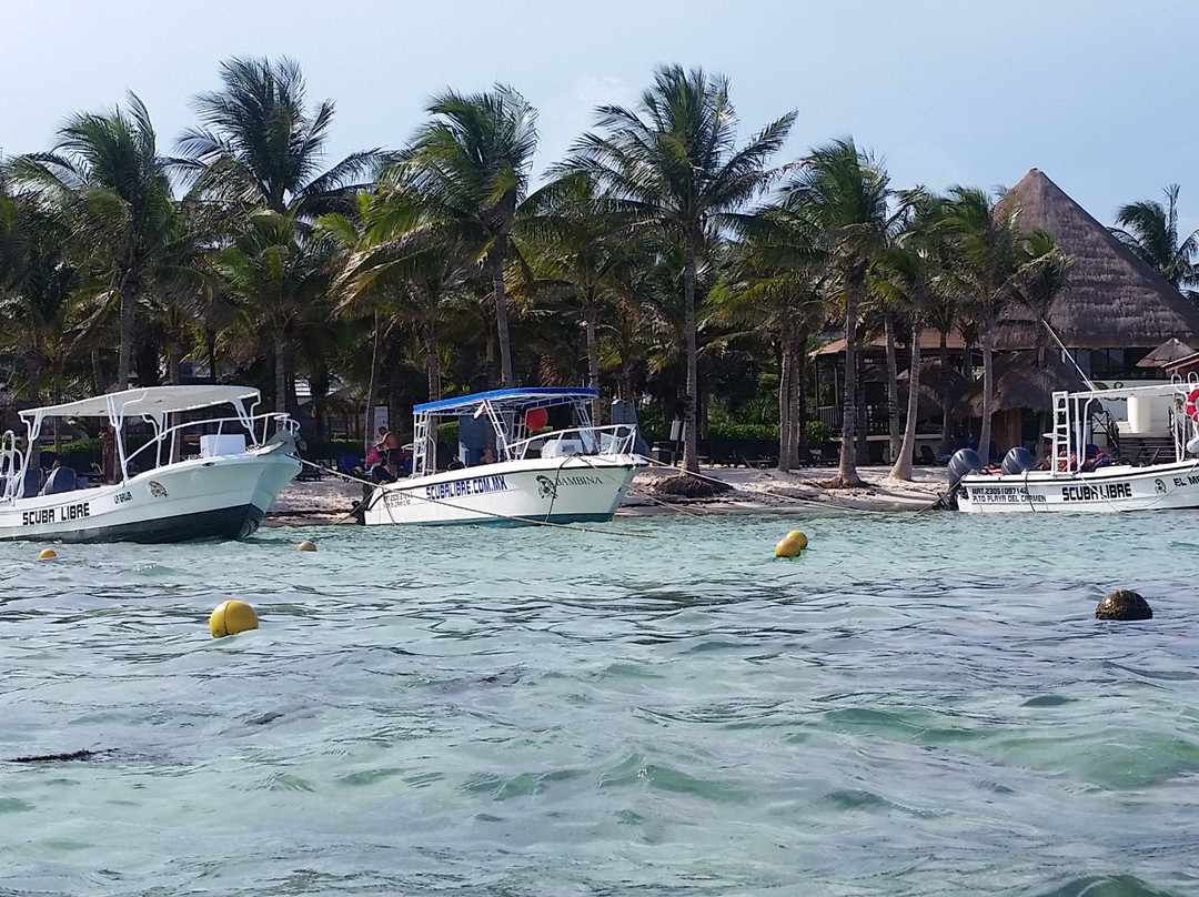 Scuba Libre-普拉亚德尔卡曼必去景点