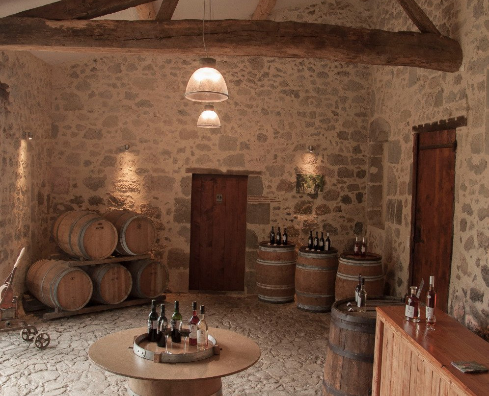 Château du Frandat景点图片