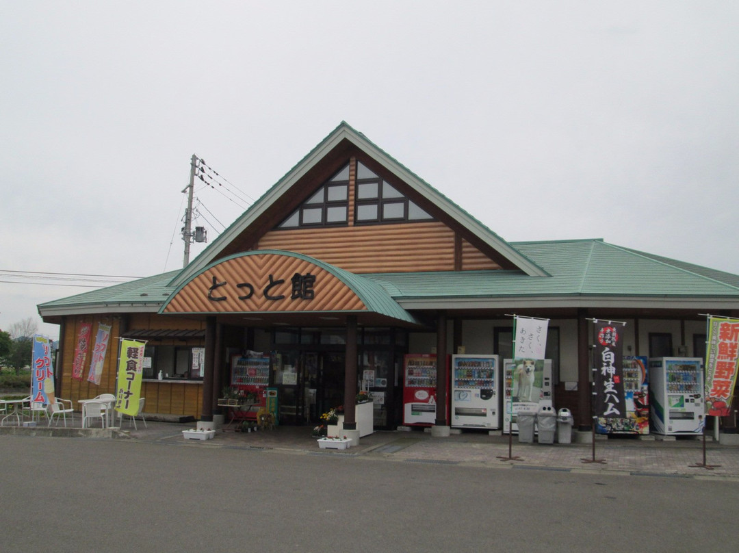 Michi-no-Eki Hinai景点图片
