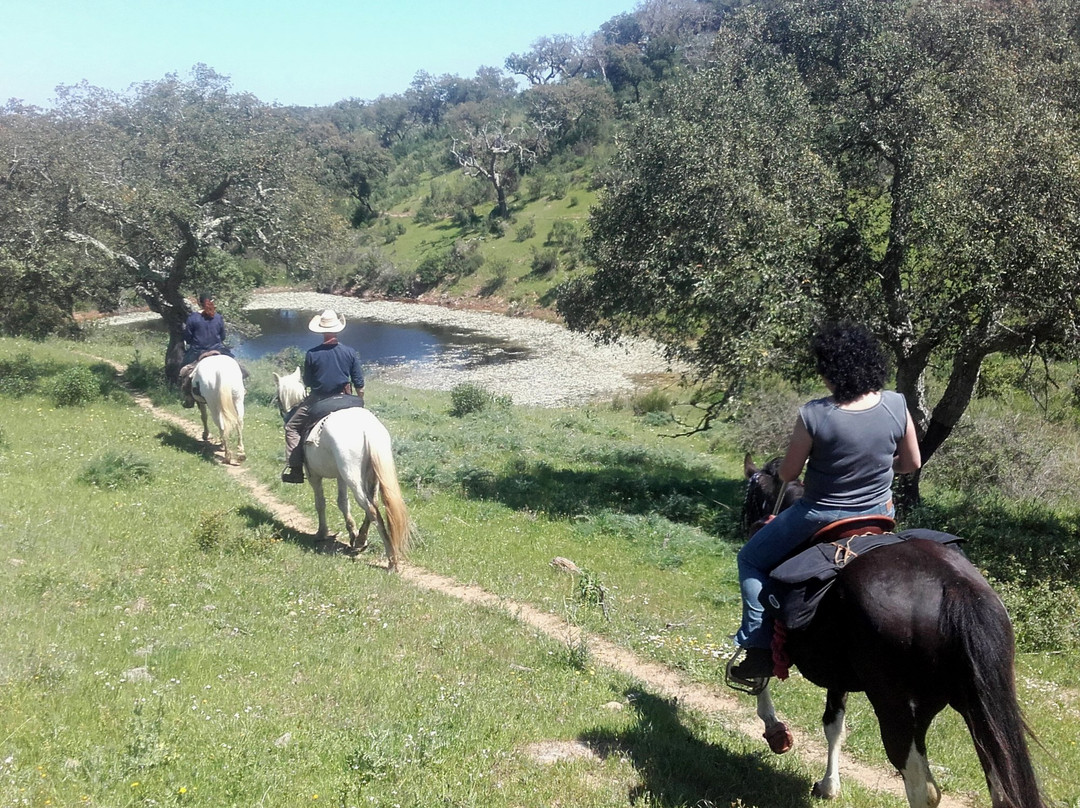 Ranch do Novo Mundo景点图片