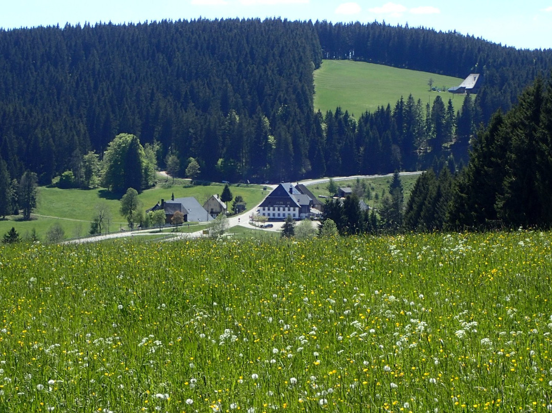 Voehrenbach旅游攻略图片