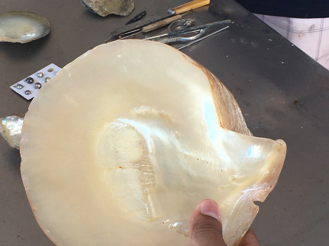 Blue Lagoon Pearl Shop-德纳姆必去景点