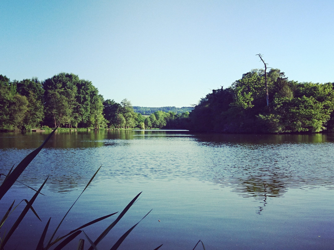 Bury Hill Fisheries景点图片