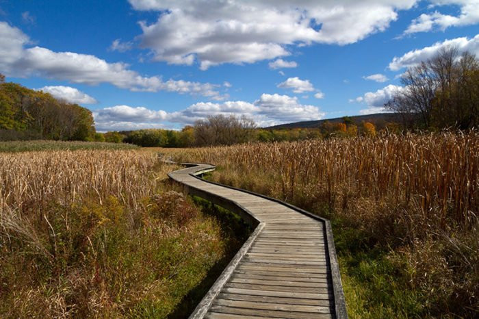 Appalachian Trail - Pochuck Boardwalk景点图片