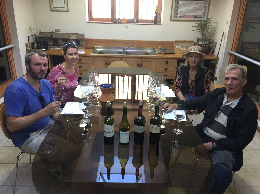 Viña Hacienda Araucano- François Lurton-Lolol必去景点