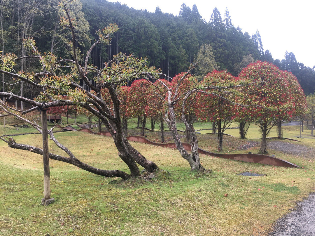 Muro Sanjo Park Art Forest景点图片