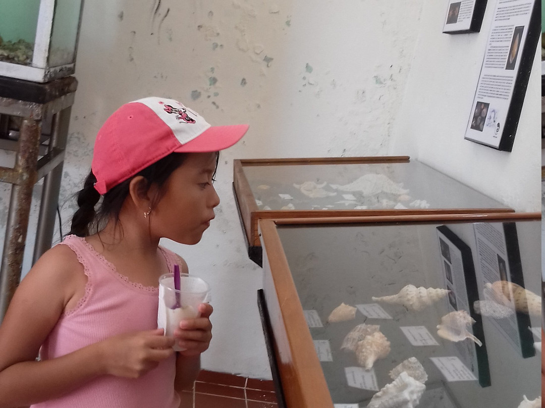 Museo Del Mar Mexico-Telchac Puerto必去景点