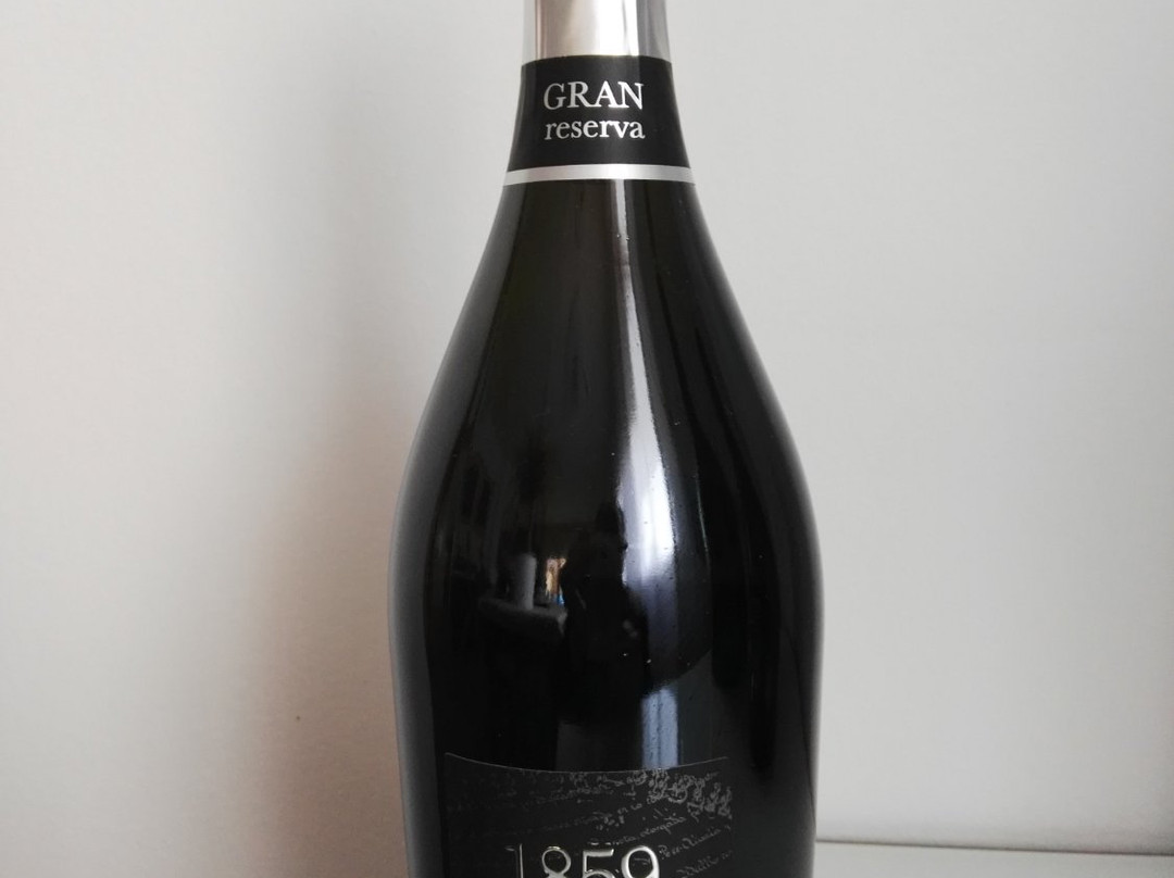 Pere Olivella Galimany景点图片