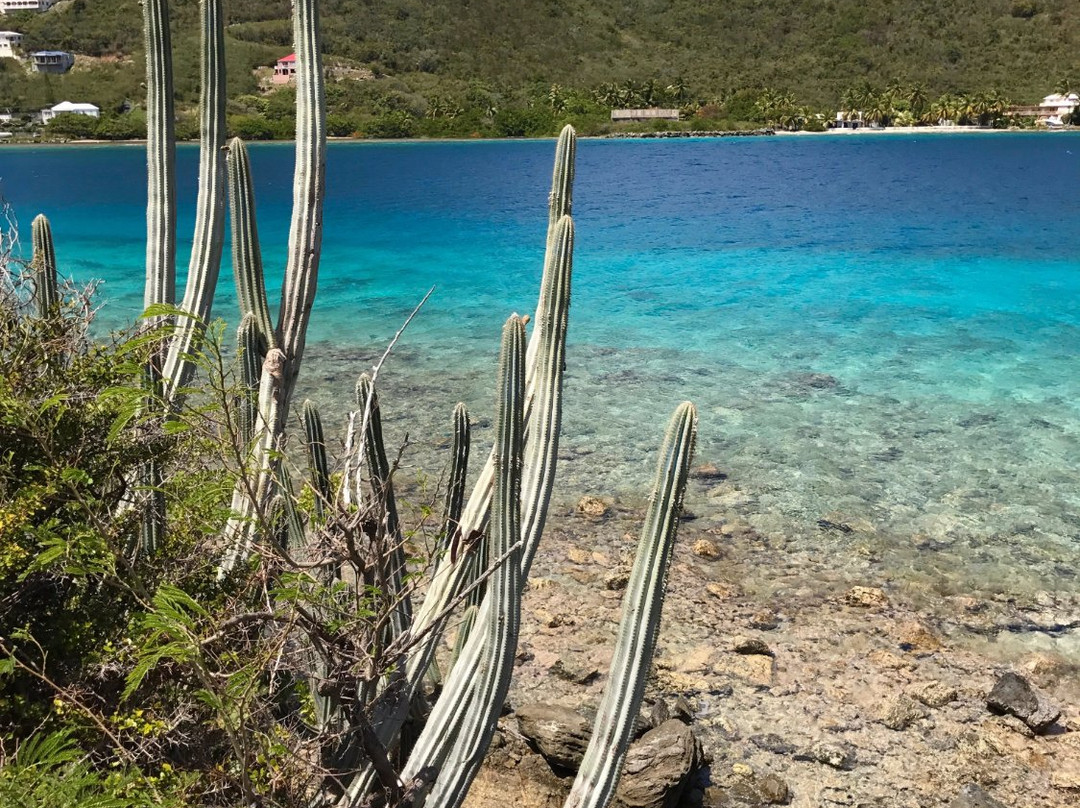 Frenchman's Cay-托土拉必去景点
