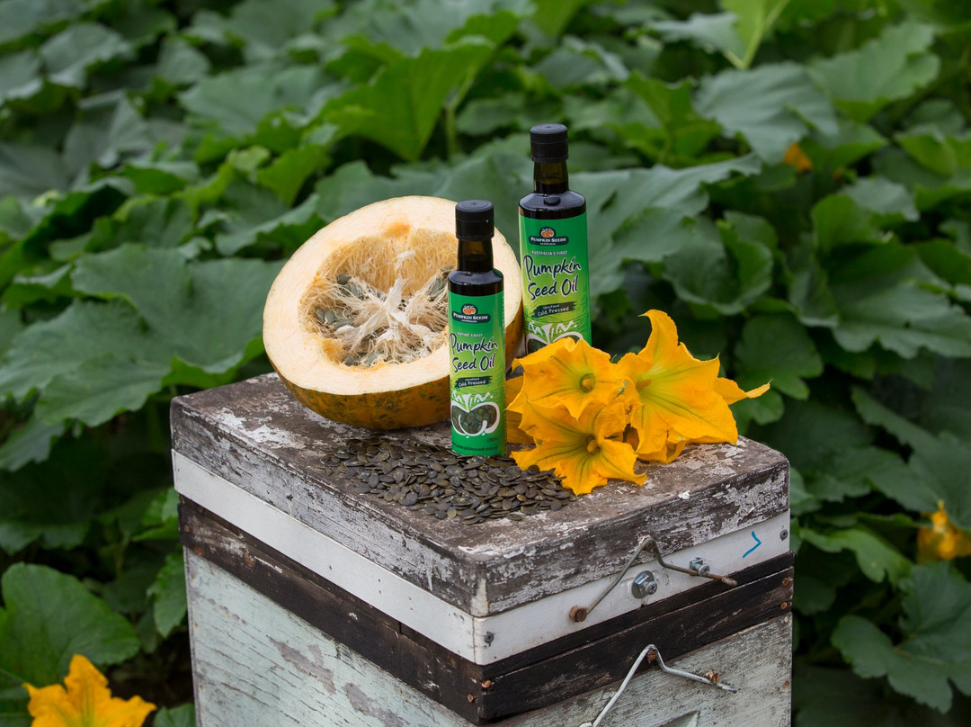 Pumpkin Seeds Australia-Myrtleford必去景点