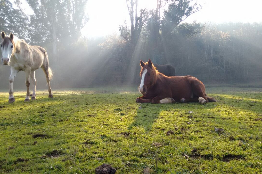 Equspatagonia-特木科必去景点