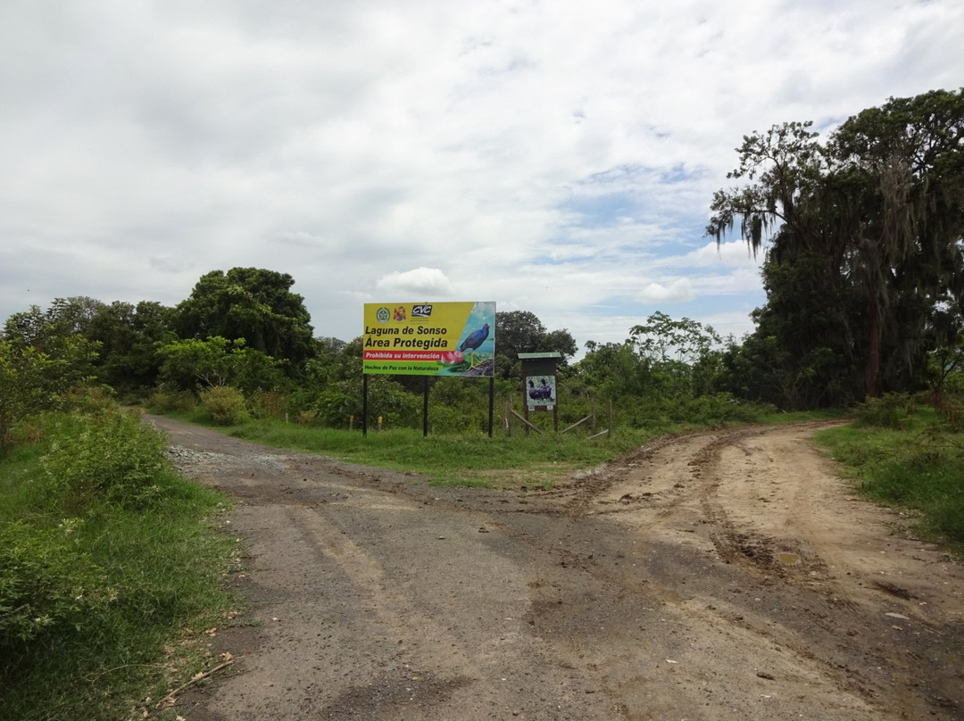 Laguna el Sonso-Buga必去景点