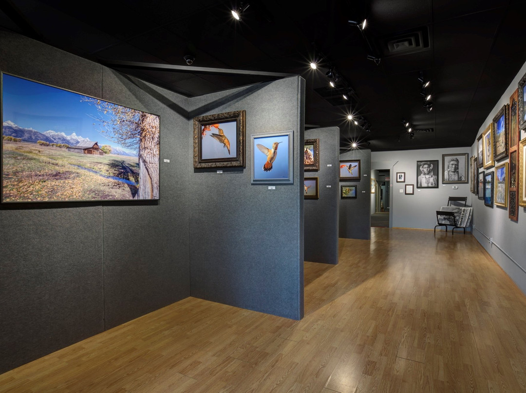 The Aperture Gallery-Cottonwood必去景点