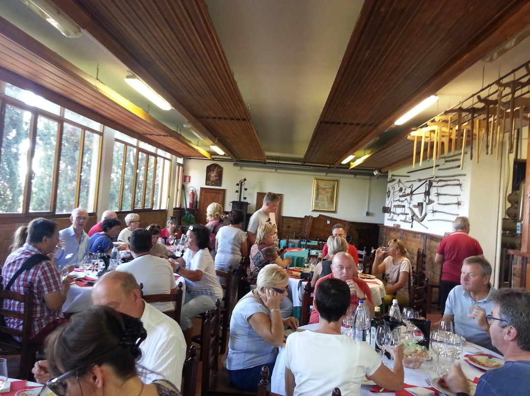 Eco Wine Tour in Tuscany景点图片