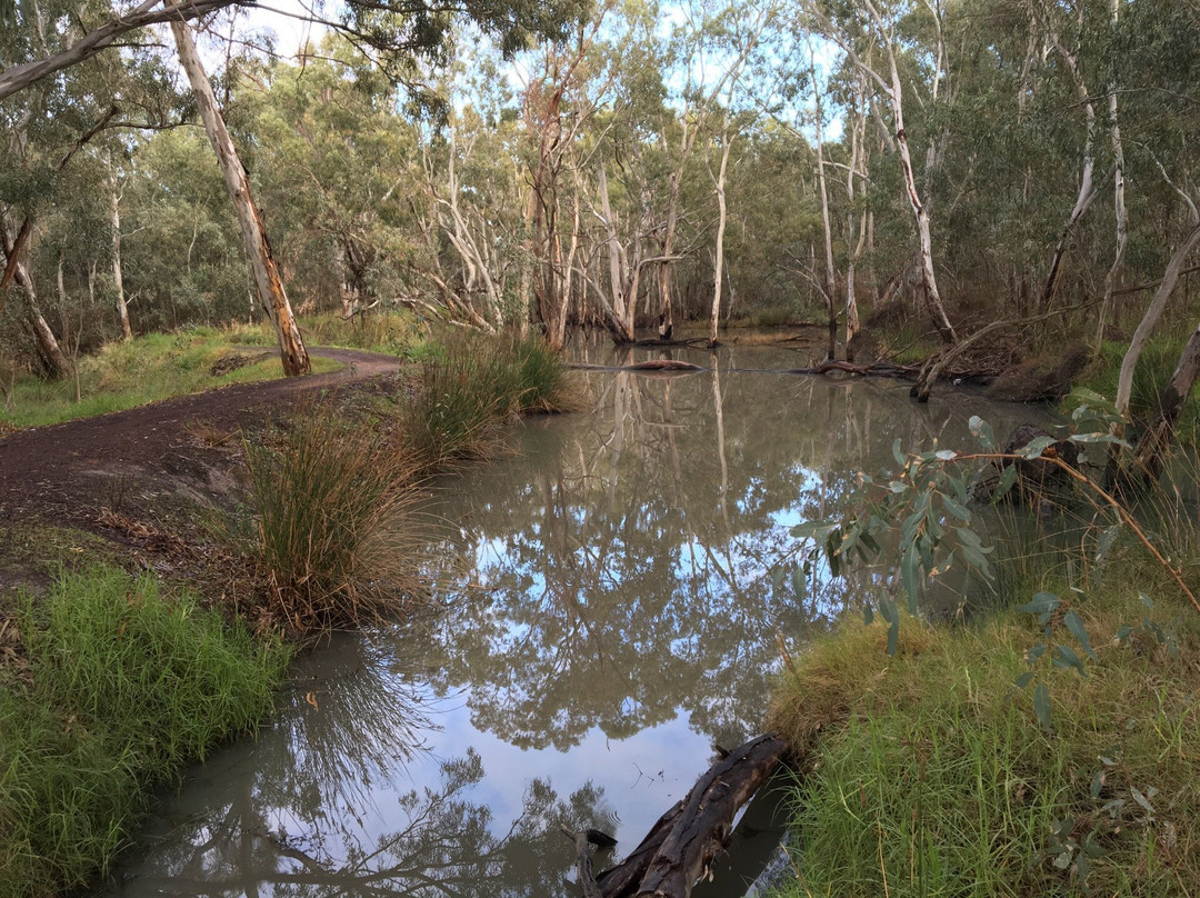 Jaypex Park-Nhill必去景点