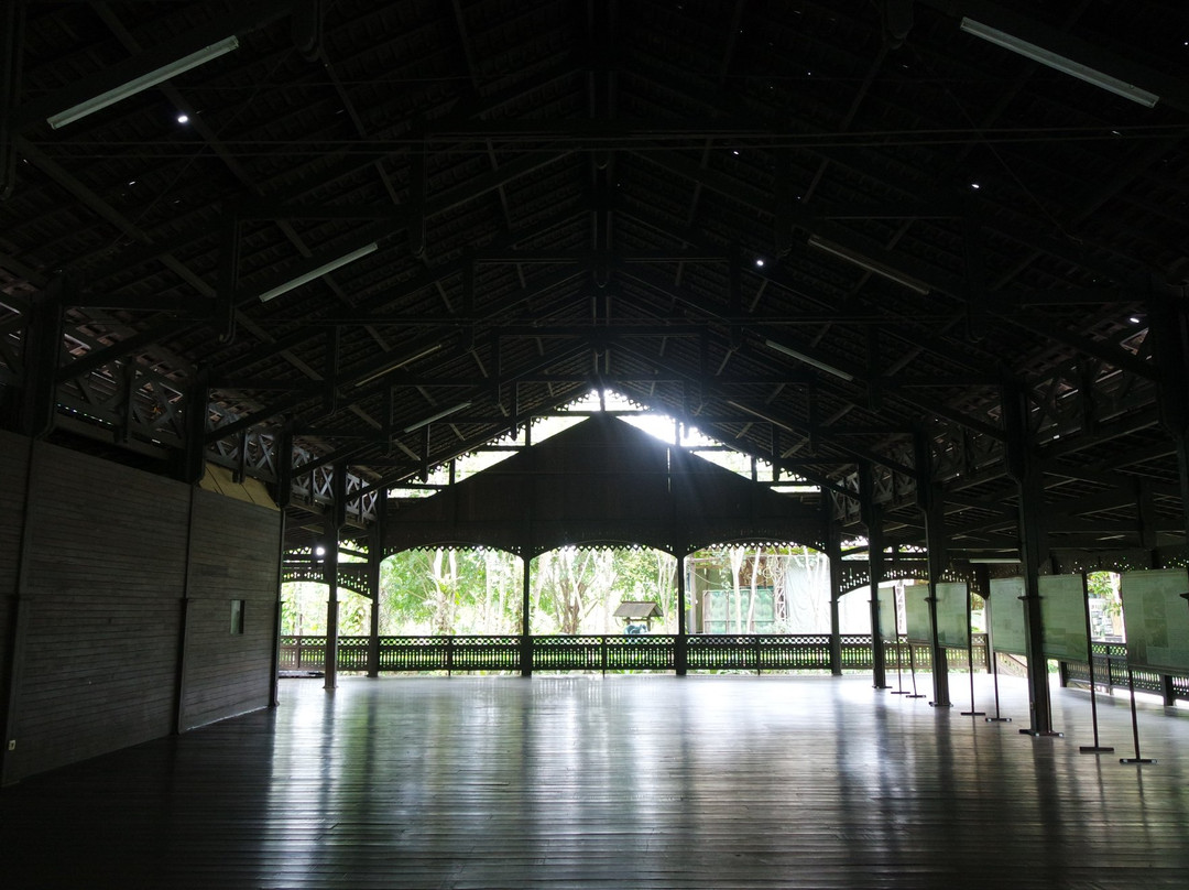 Sun Bear Education and Conservation Center-巴厘巴板必去景点