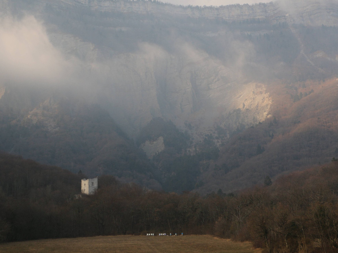 Tour d'Arces景点图片