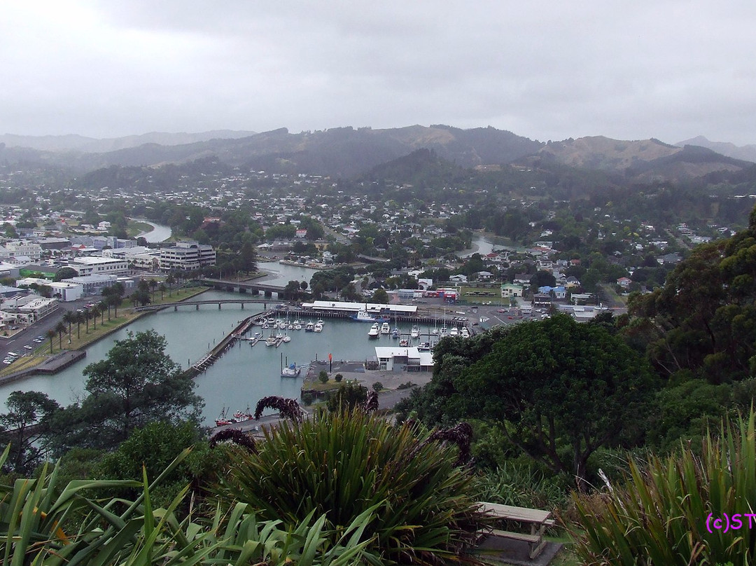 Titirangi Domain景点图片