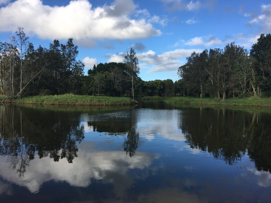 Pine Rivers Park景点图片