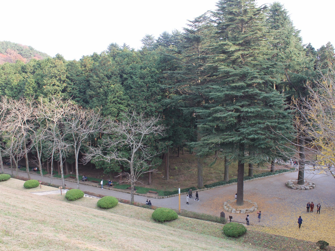 Beopgi Fountainhead-梁山市必去景点