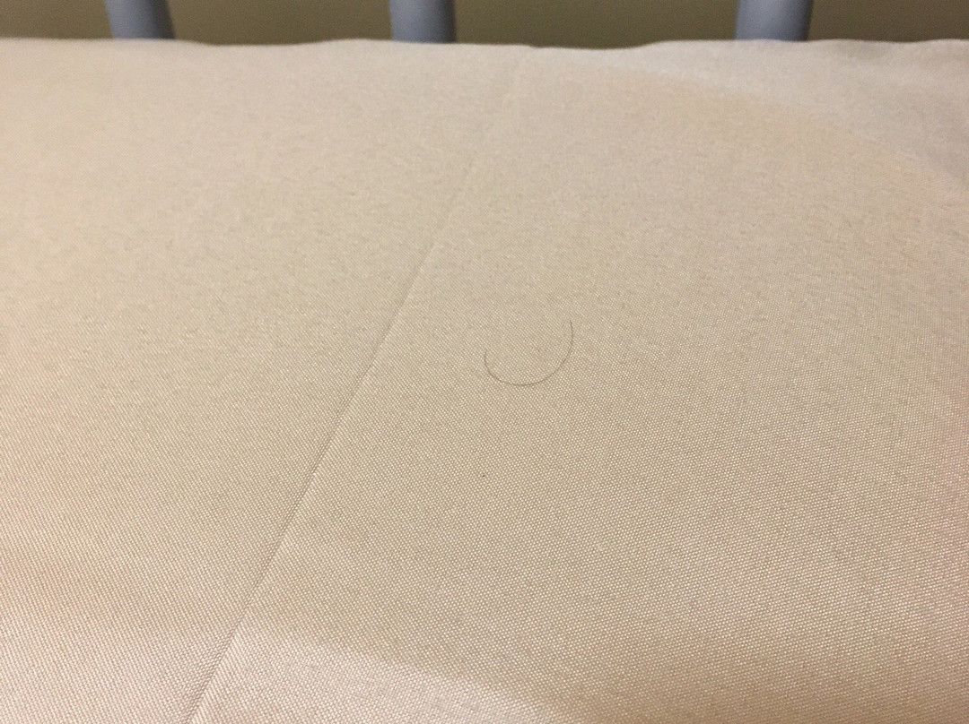 The Castle / Y Castell Pwllheli主图