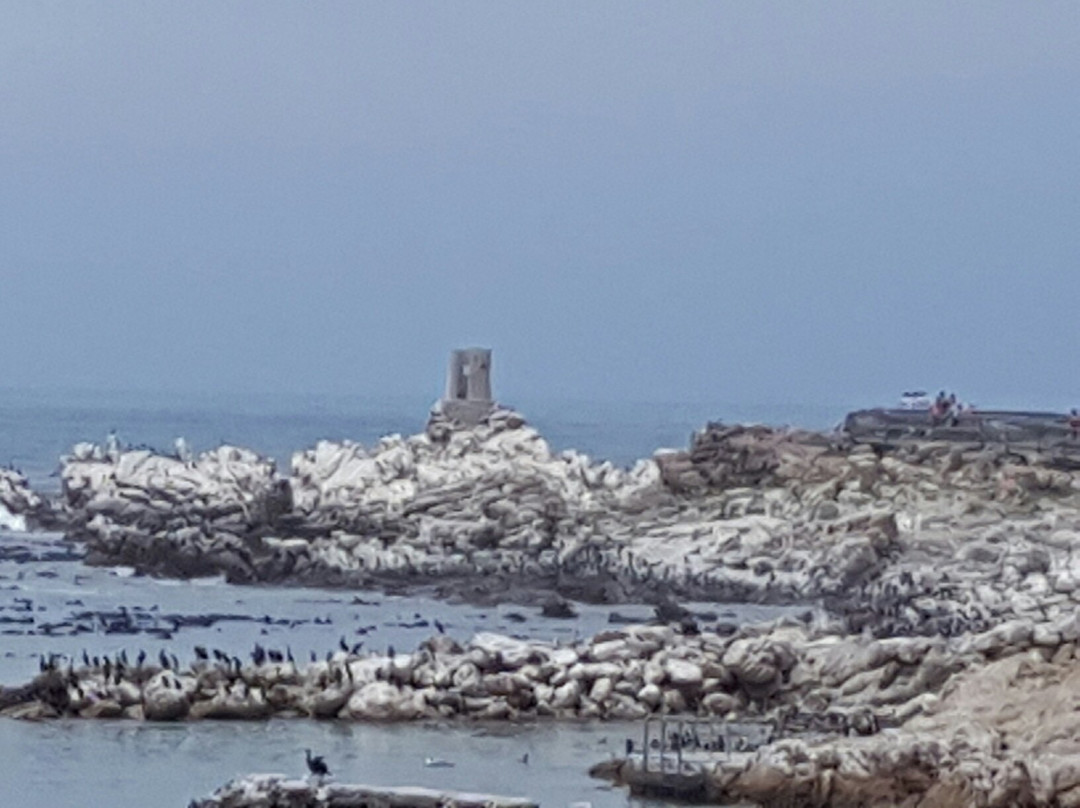 Old Whaling Station-Betty's Bay必去景点