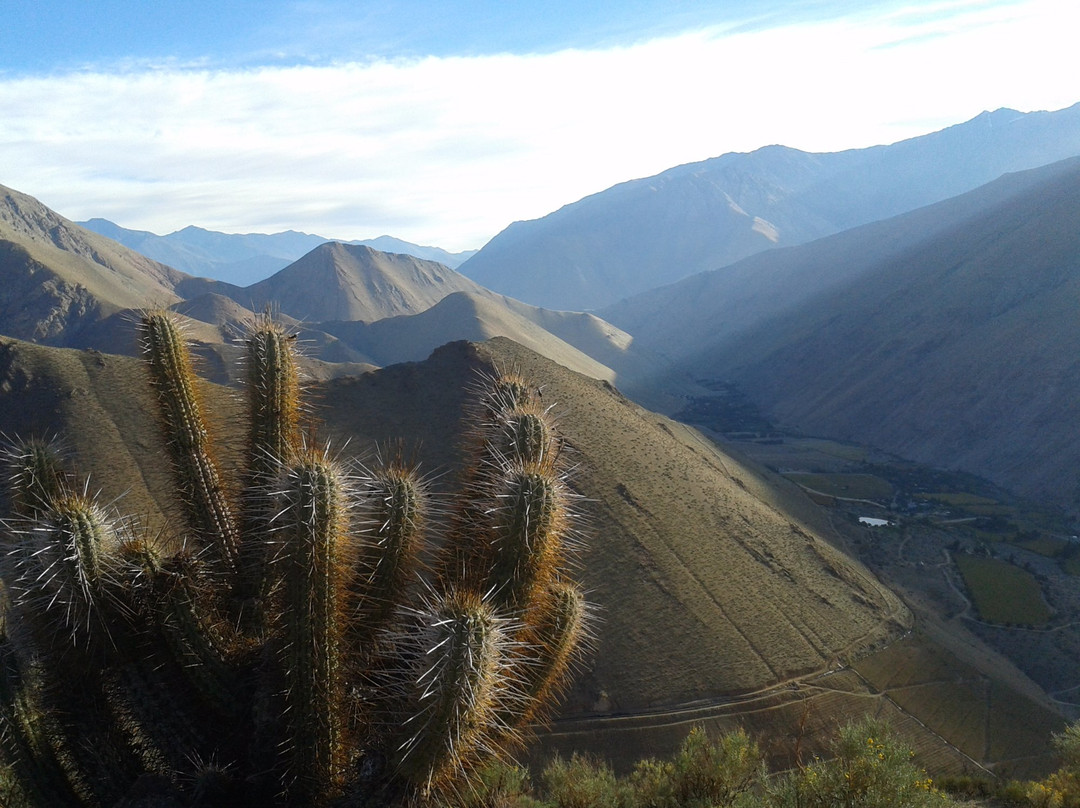 Turismo El Quijote景点图片