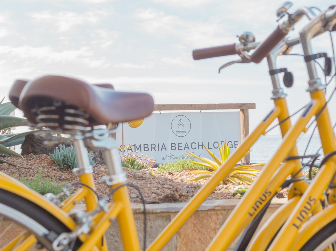 坎布里亚酒店住宿-Cambria Beach Lodge