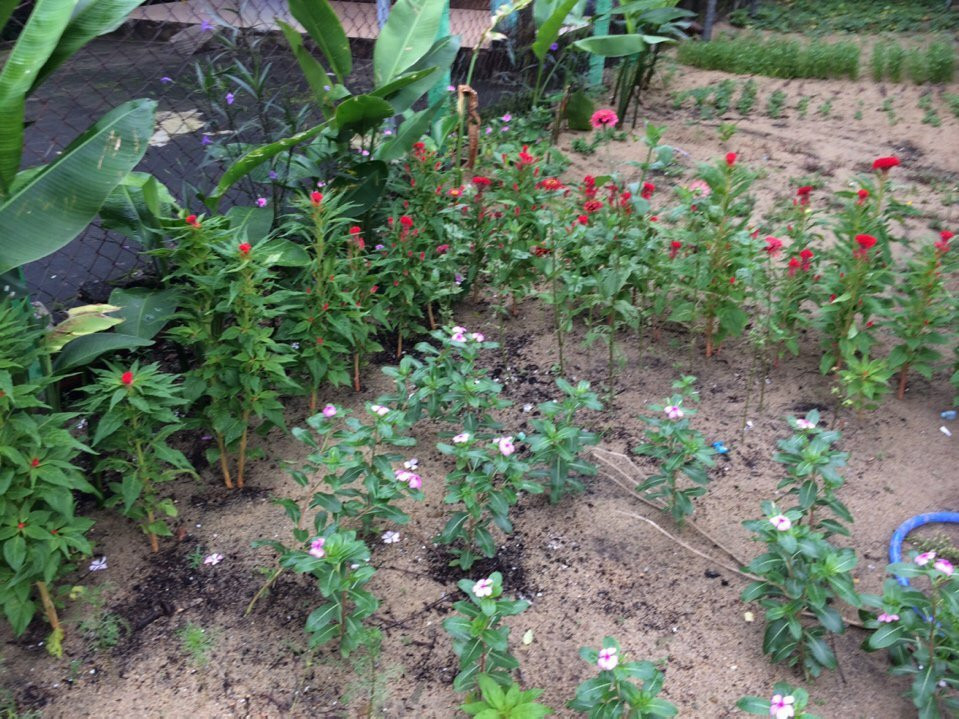 Pansee Spa-会安必去景点