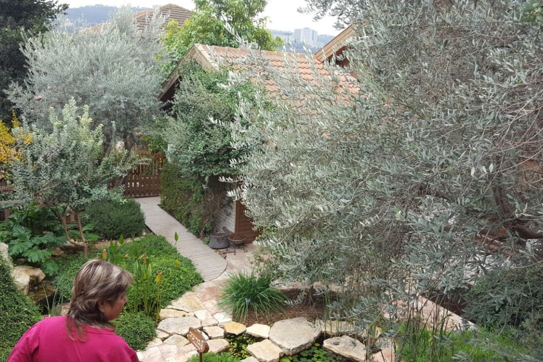 Etz VaMaim-Ein Kerem必去景点